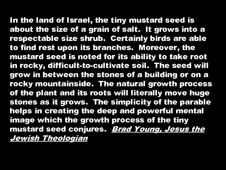 In the land of Israel, the tiny mustard seed is about the size of
