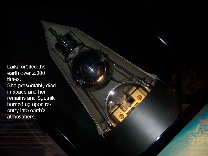 Laika orbited the earth over 2, 000 times. She presumably died in space and