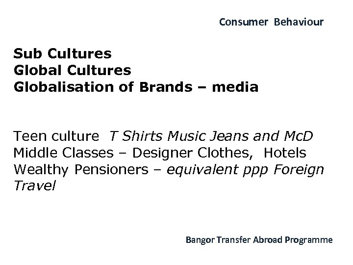 Consumer Behaviour Sub Cultures Globalisation of Brands – media Teen culture T Shirts Music