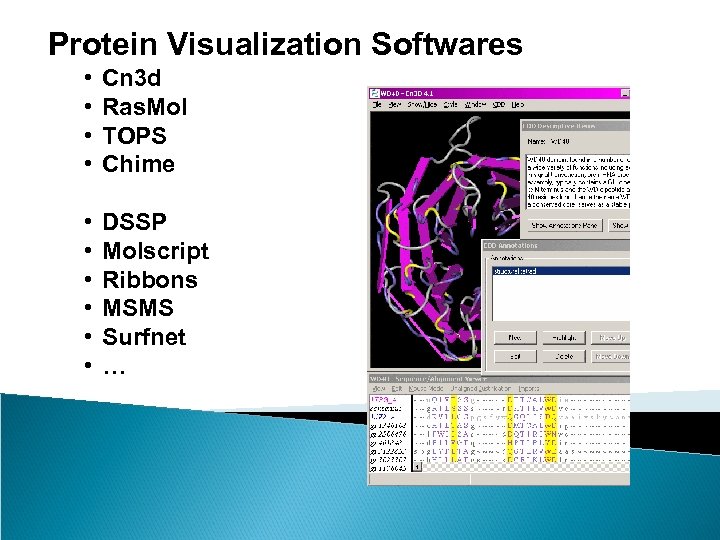 Protein Visualization Softwares • • Cn 3 d Ras. Mol TOPS Chime • •