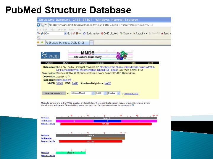 Pub. Med Structure Database 