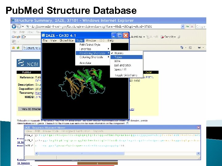 Pub. Med Structure Database 