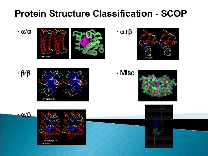 Protein Structure Classification - SCOP • a/a • a+b • b/b • Misc •