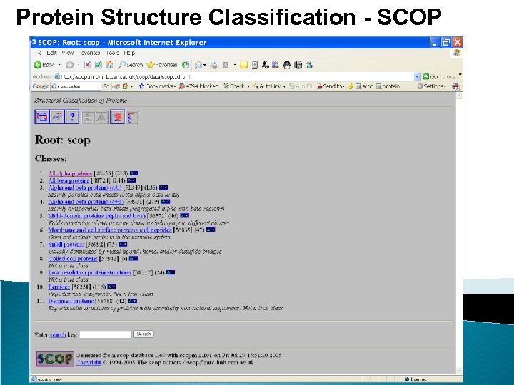 Protein Structure Classification - SCOP 