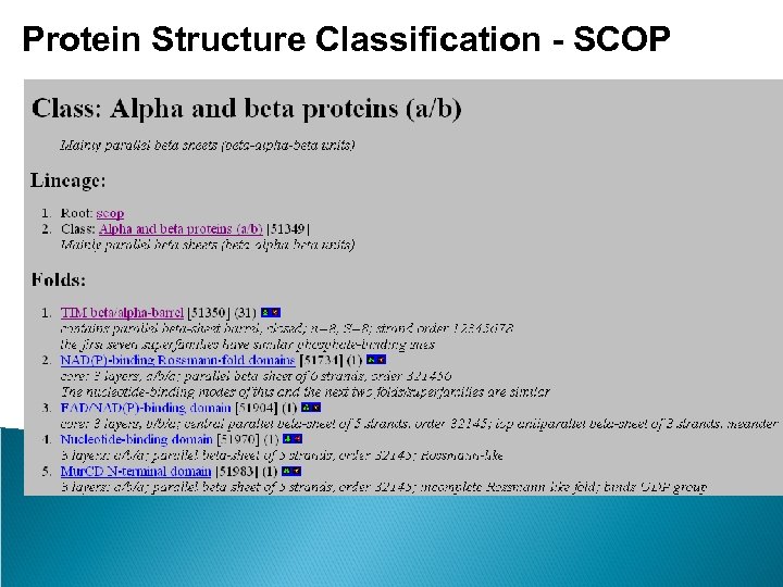 Protein Structure Classification - SCOP 