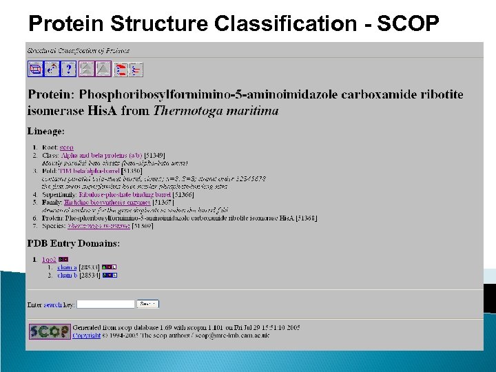 Protein Structure Classification - SCOP 