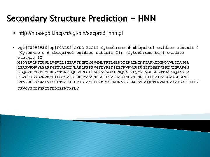 Secondary Structure Prediction - HNN • http: //npsa-pbil. ibcp. fr/cgi-bin/secpred_hnn. pl • >gi|78099986|sp|P 0