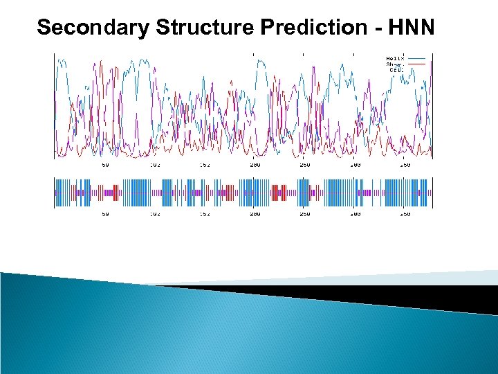 Secondary Structure Prediction - HNN 