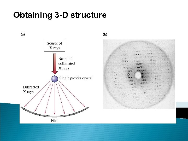 Obtaining 3 -D structure 