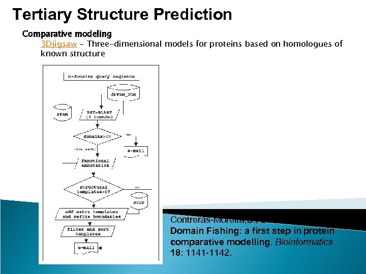 Tertiary Structure Prediction Comparative modeling 3 Djigsaw - Three-dimensional models for proteins based on