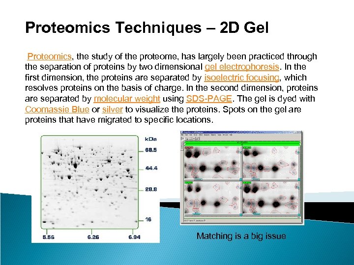 Proteomics Techniques – 2 D Gel Proteomics, the study of the proteome, has largely