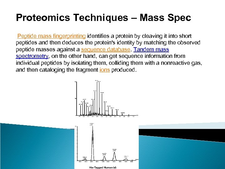 Proteomics Techniques – Mass Spec Peptide mass fingerprinting identifies a protein by cleaving it