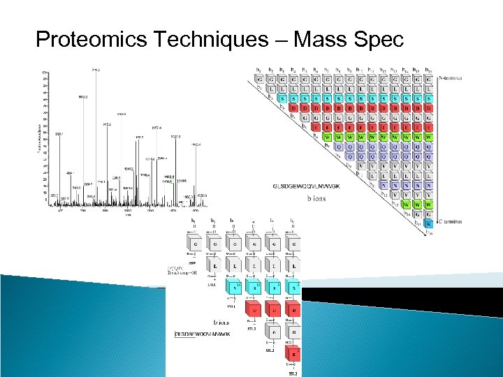 Proteomics Techniques – Mass Spec 