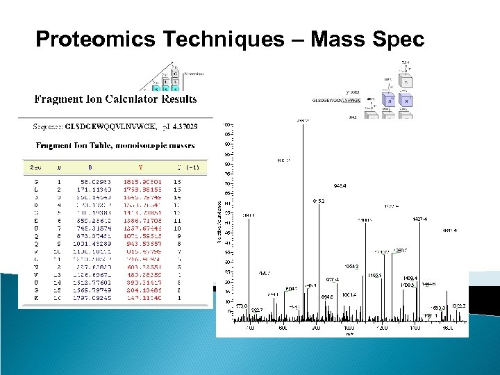 Proteomics Techniques – Mass Spec 