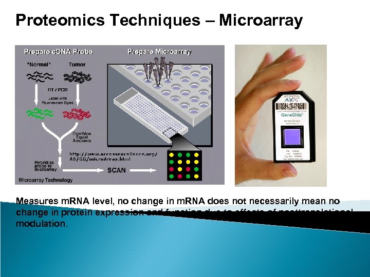 Proteomics Techniques – Microarray Measures m. RNA level, no change in m. RNA does