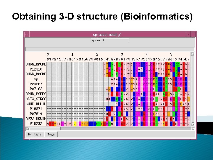 Obtaining 3 -D structure (Bioinformatics) 