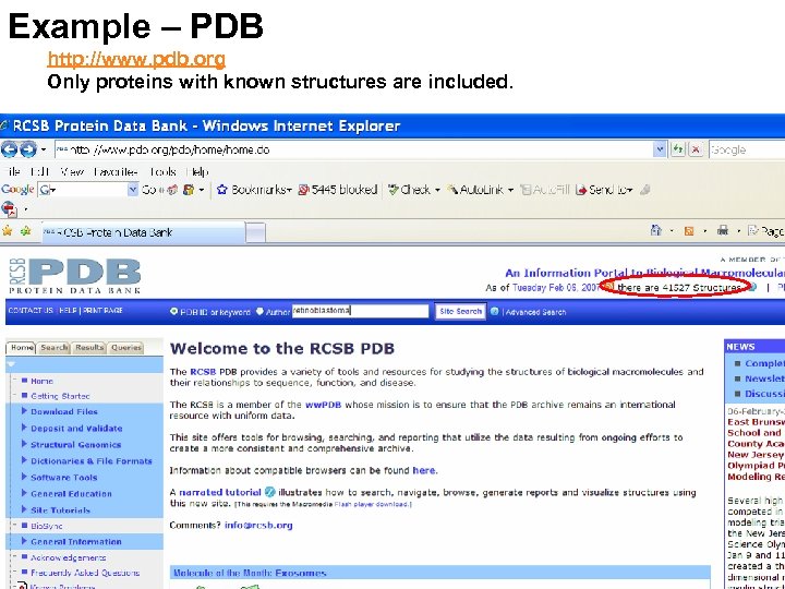 Example – PDB http: //www. pdb. org Only proteins with known structures are included.