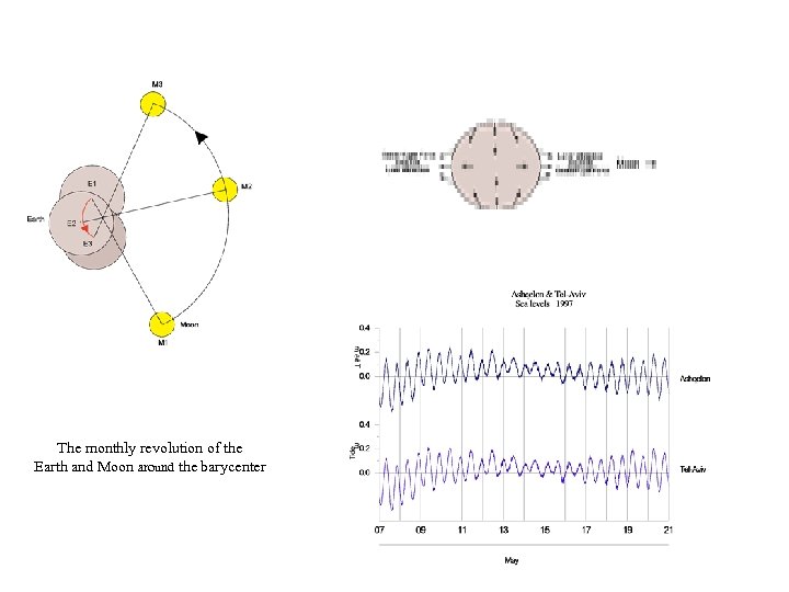 The monthly revolution of the Earth and Moon around the barycenter 