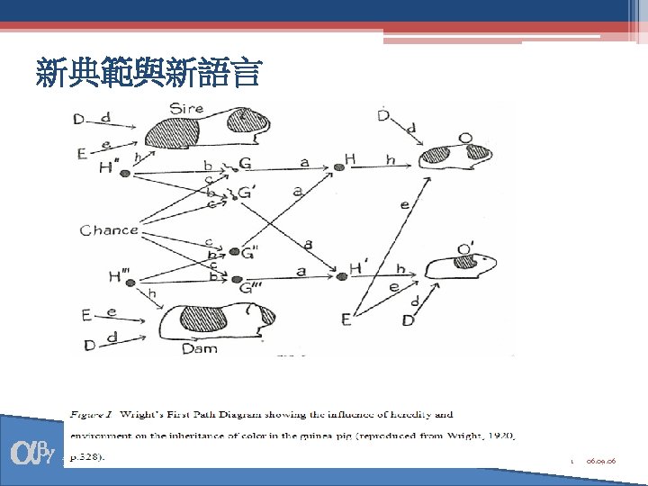 新典範與新語言 資料庫研究與統計方法學 1 06. 09. 06 