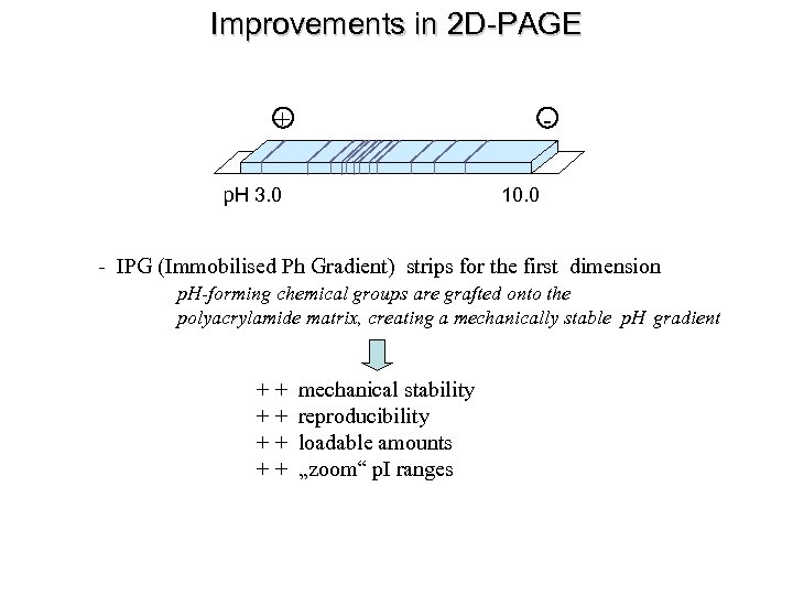 Improvements in 2 D-PAGE + - p. H 3. 0 10. 0 - IPG