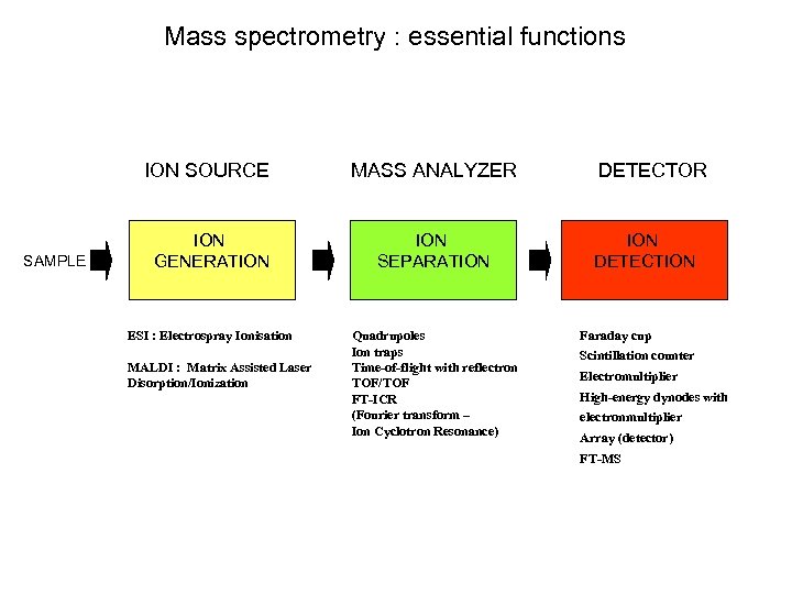 Mass spectrometry : essential functions ION SOURCE SAMPLE MASS ANALYZER ION GENERATION SEPARATION ESI
