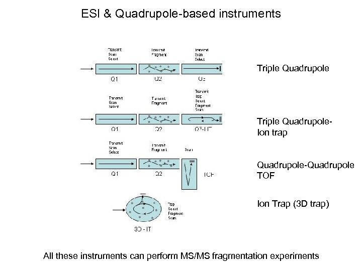 ESI & Quadrupole-based instruments Triple Quadrupole. Ion trap Quadrupole-Quadrupole TOF Ion Trap (3 D