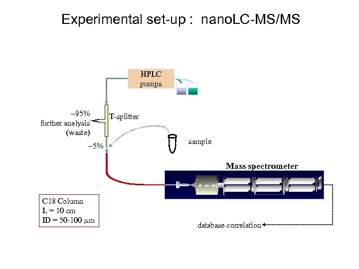 Experimental set-up : nano. LC-MS/MS HPLC pumps ~95% further analysis (waste) ~5% T-splitter sample