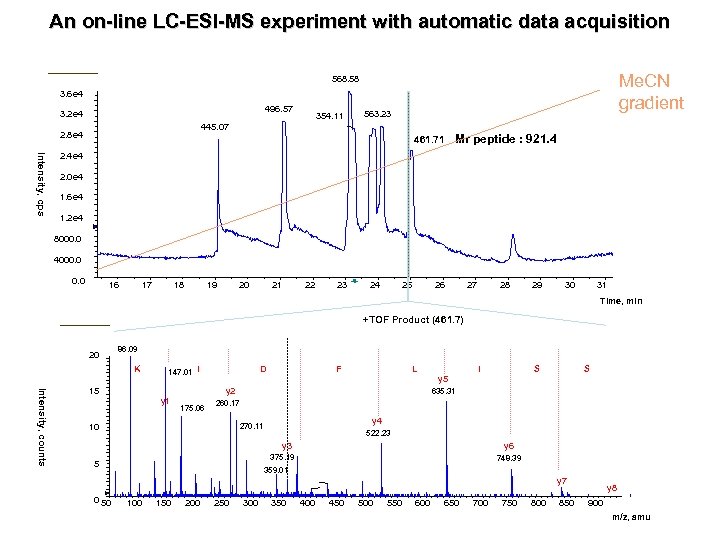 An on-line LC-ESI-MS experiment with automatic data acquisition Me. CN gradient 568. 58 3.