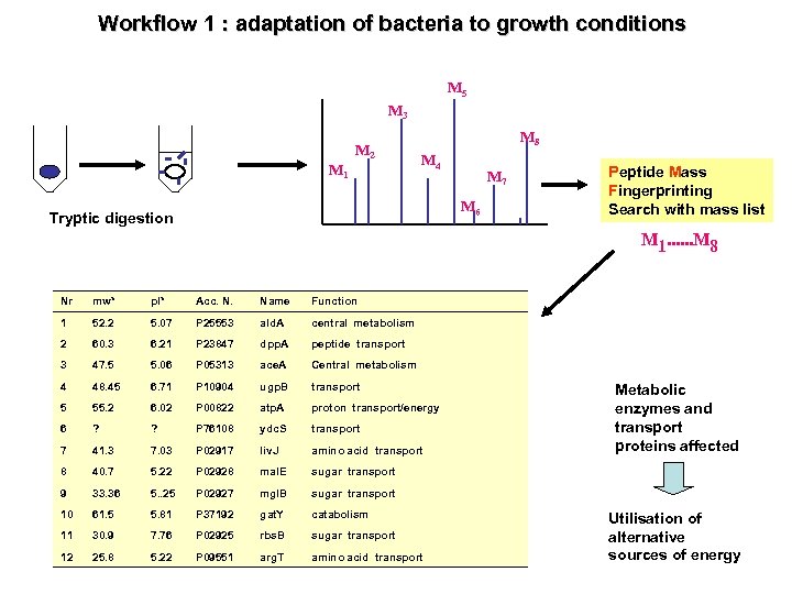 Workflow 1 : adaptation of bacteria to growth conditions M 5 M 3 M