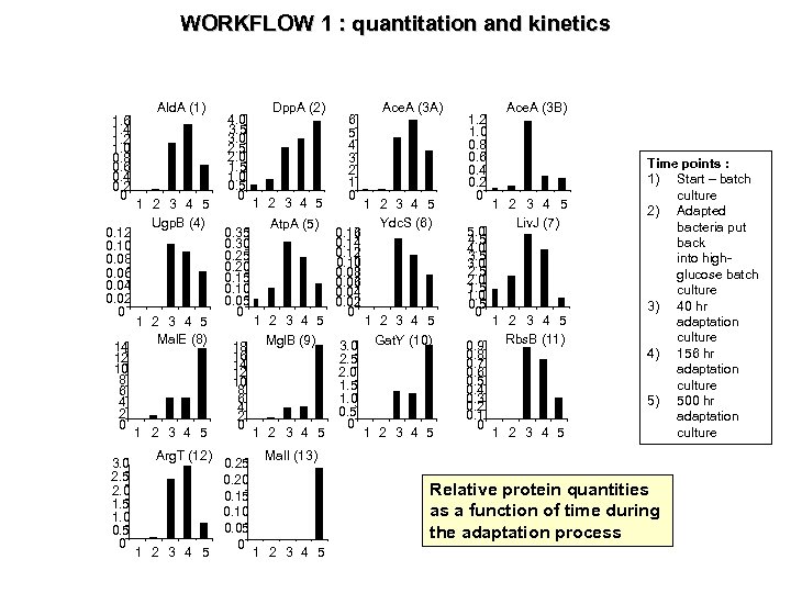 WORKFLOW 1 : quantitation and kinetics 1. 6 1. 4 1. 2 1. 0