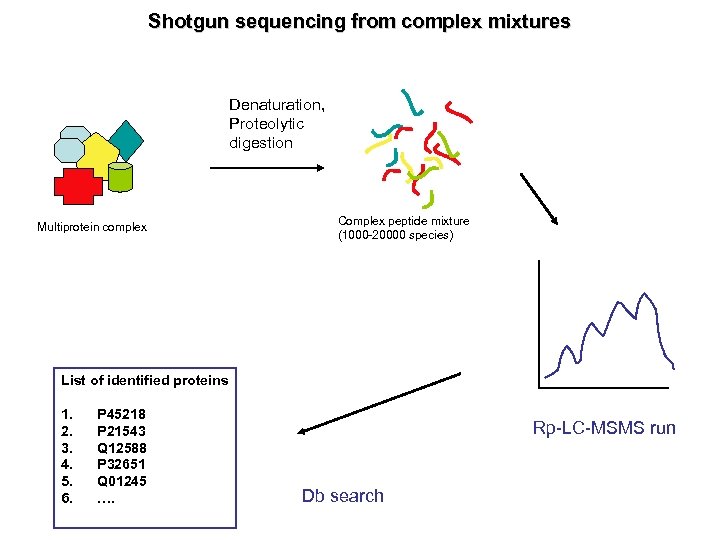 Shotgun sequencing from complex mixtures Denaturation, Proteolytic digestion Multiprotein complex Complex peptide mixture (1000