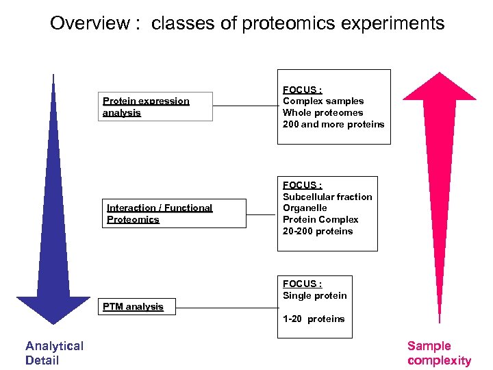 Overview : classes of proteomics experiments Protein expression analysis Interaction / Functional Proteomics FOCUS
