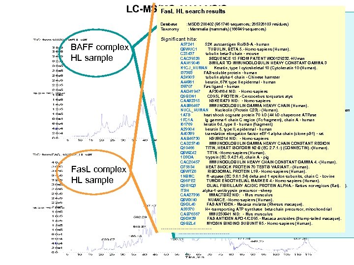 LC-MS/MS HL search results Fas. L ANALYSIS BAFF HL search results Database : MSDB