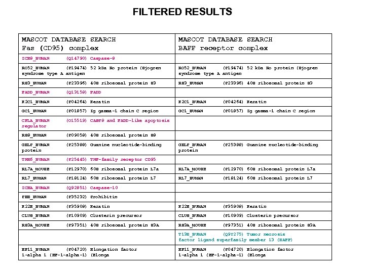 FILTERED RESULTS MASCOT DATABASE SEARCH Fas (CD 95) complex MASCOT DATABASE SEARCH BAFF receptor