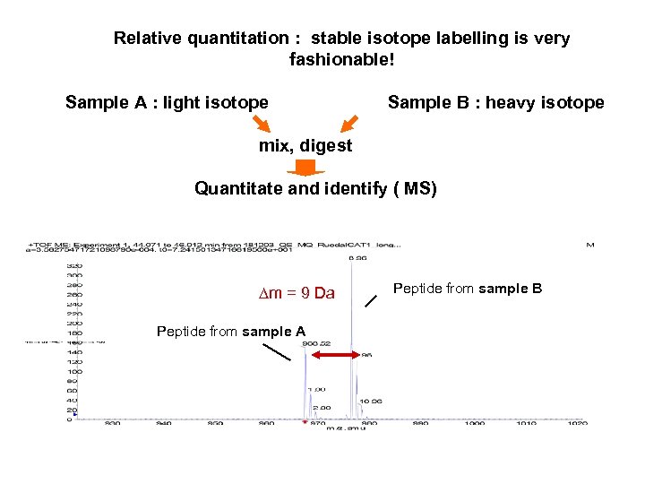 Relative quantitation : stable isotope labelling is very fashionable! Sample A : light isotope