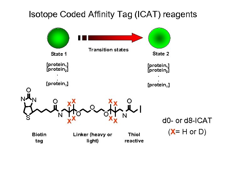 Isotope Coded Affinity Tag (ICAT) reagents Transition states State 1 [protein 1] [protein 2].