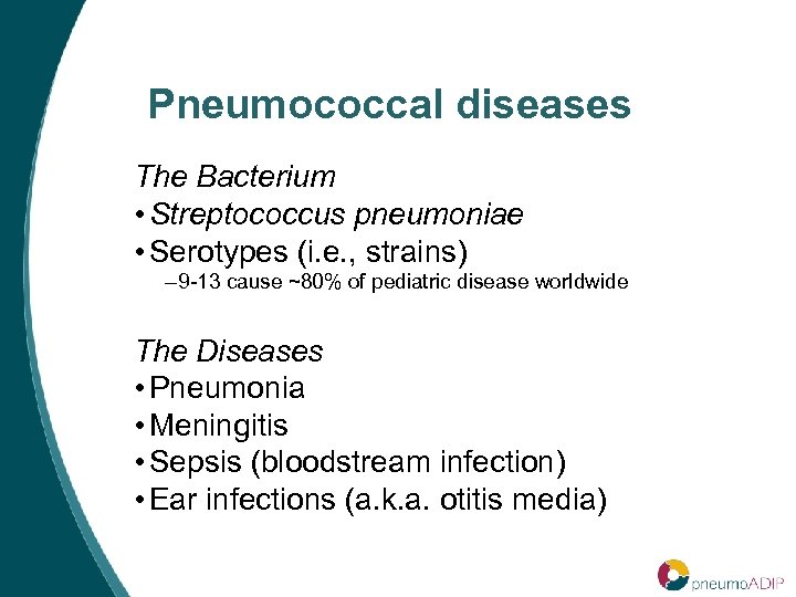 Pneumococcal diseases The Bacterium • Streptococcus pneumoniae • Serotypes (i. e. , strains) –