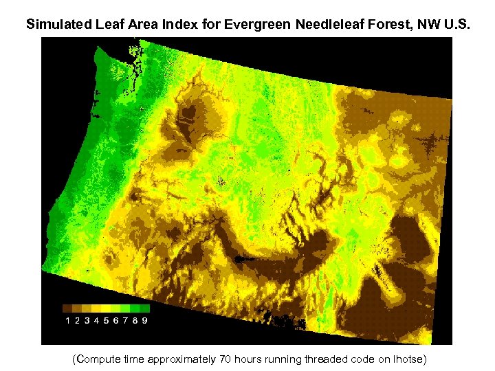 Simulated Leaf Area Index for Evergreen Needleleaf Forest, NW U. S. (Compute time approximately