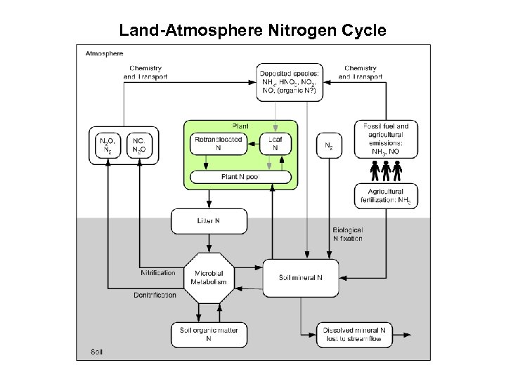 Land-Atmosphere Nitrogen Cycle 