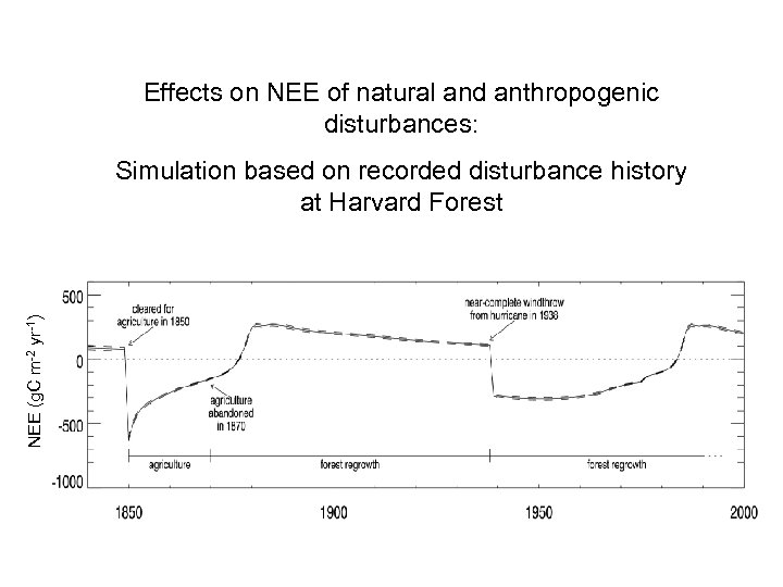 Effects on NEE of natural and anthropogenic disturbances: NEE (g. C m-2 yr-1) Simulation