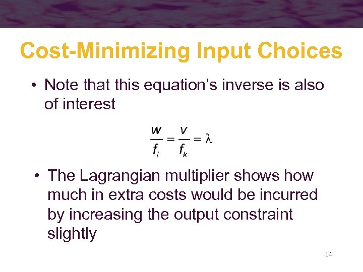 Cost-Minimizing Input Choices • Note that this equation’s inverse is also of interest •