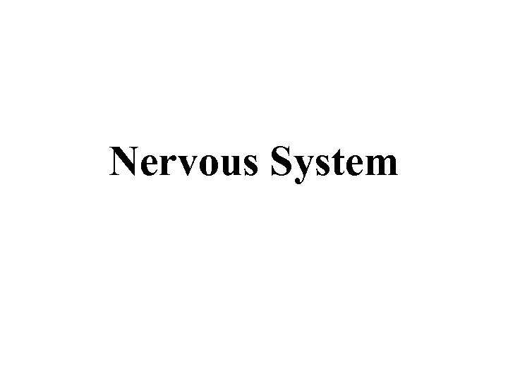 Nervous System 