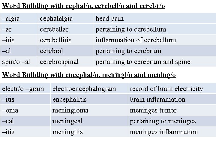 Word Building with cephal/o, cerebell/o and cerebr/o –algia –ar –itis –al cephalalgia cerebellar cerebellitis