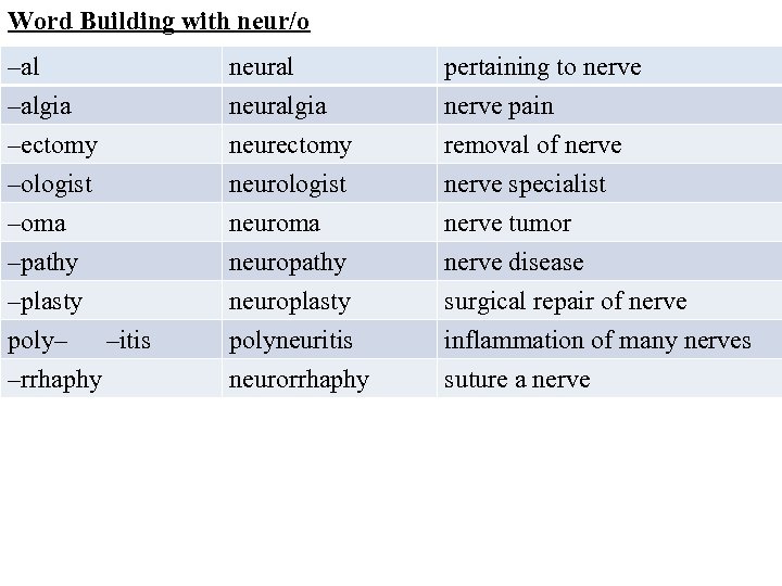 Word Building with neur/o –al neural pertaining to nerve –algia –ectomy –ologist neuralgia neurectomy