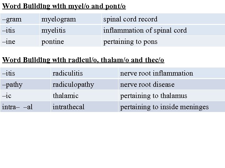 Word Building with myel/o and pont/o –gram –itis –ine myelogram myelitis pontine spinal cord