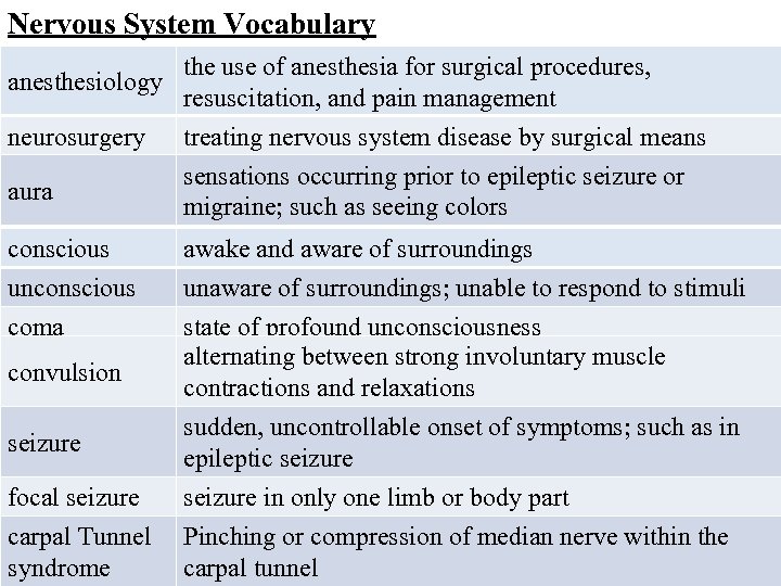 Nervous System Vocabulary anesthesiology neurosurgery aura conscious unconscious coma convulsion the use of anesthesia