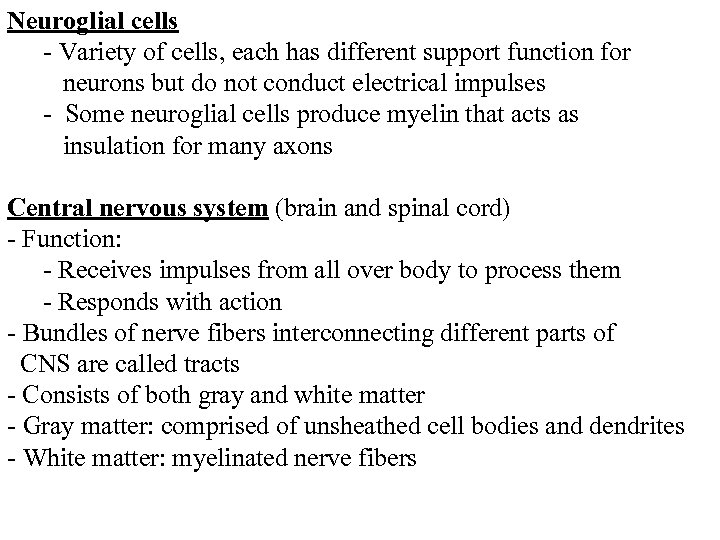 Neuroglial cells - Variety of cells, each has different support function for neurons but