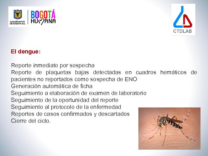 El dengue: Reporte inmediato por sospecha Reporte de plaquetas bajas detectadas en cuadros hemáticos