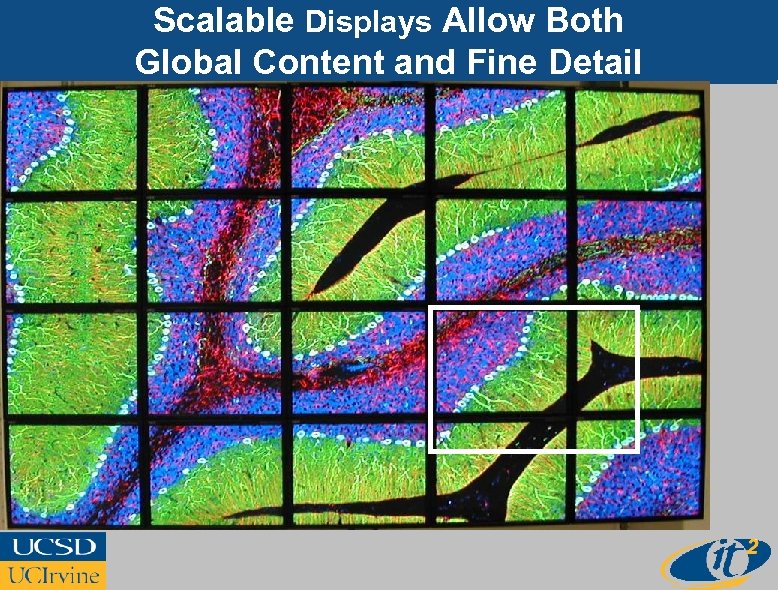 Scalable Displays Allow Both Global Content and Fine Detail 