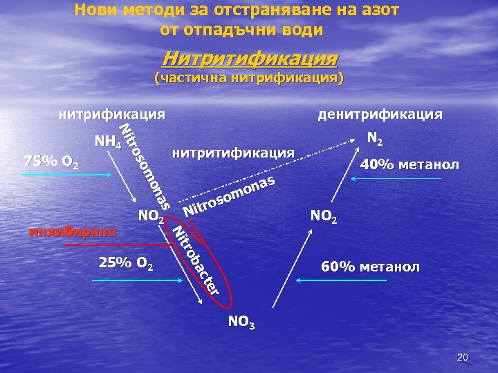 Нови методи за отстраняване на азот от отпадъчни води Нитритификация (частична нитрификация) нитрификация s